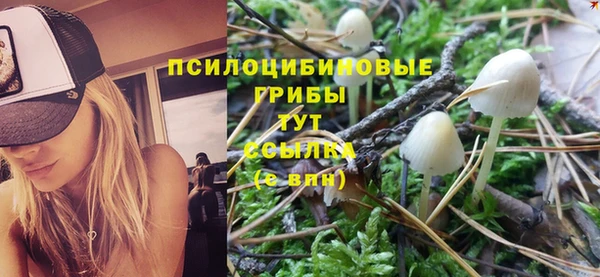 меф Армянск