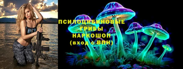 спиды Аркадак