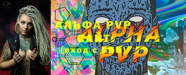 спиды Аркадак