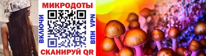 Псилоцибиновые грибы Magic Shrooms  цена   Белозерск 
